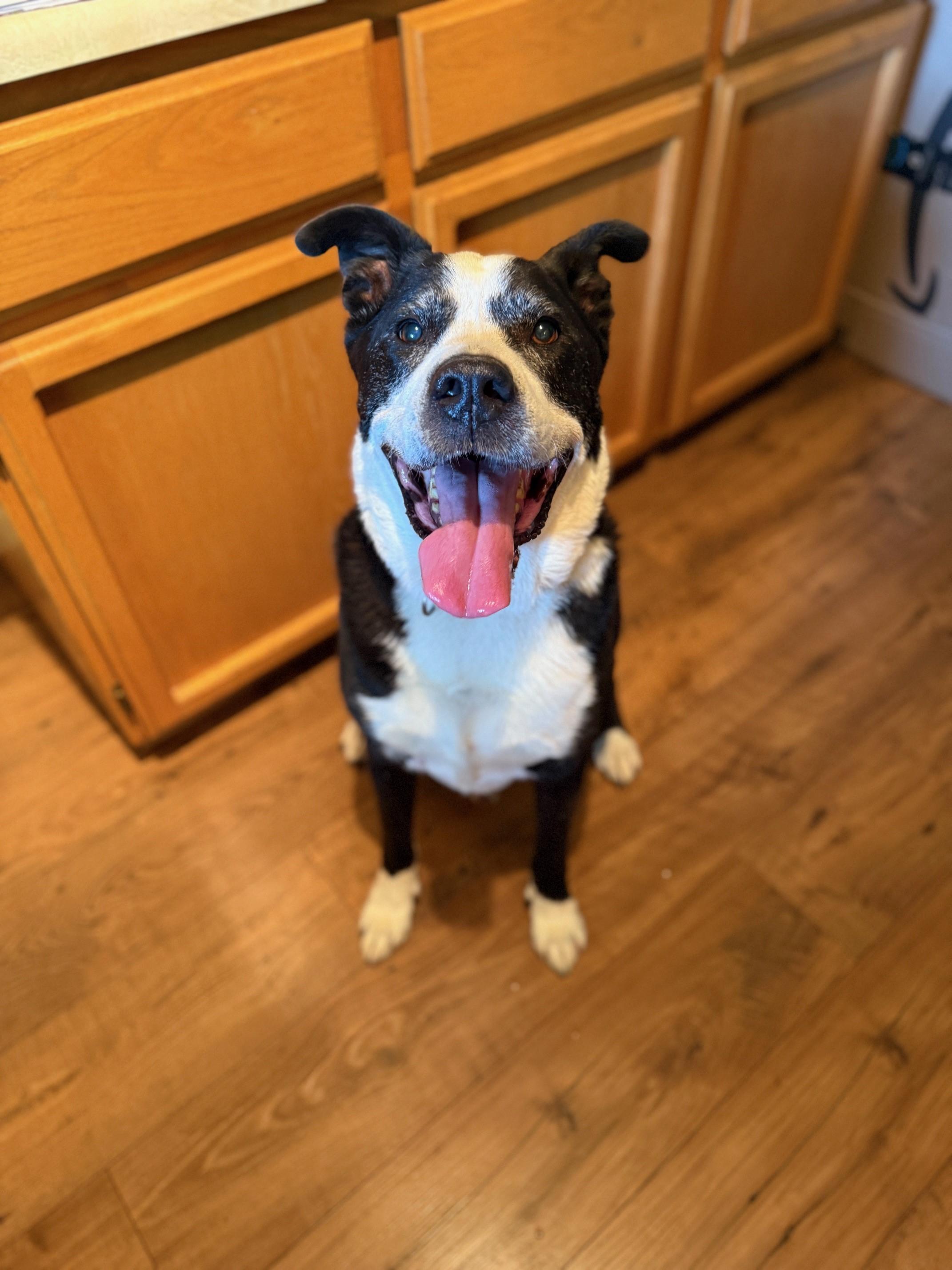 Oreo