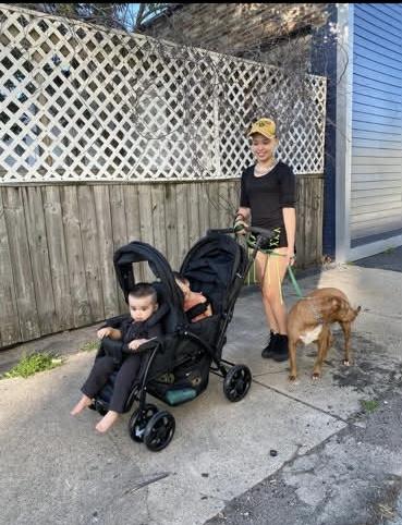 Enlarge Bin, a ADOPTABLE mixed breed in Rockland, MA image 3/4