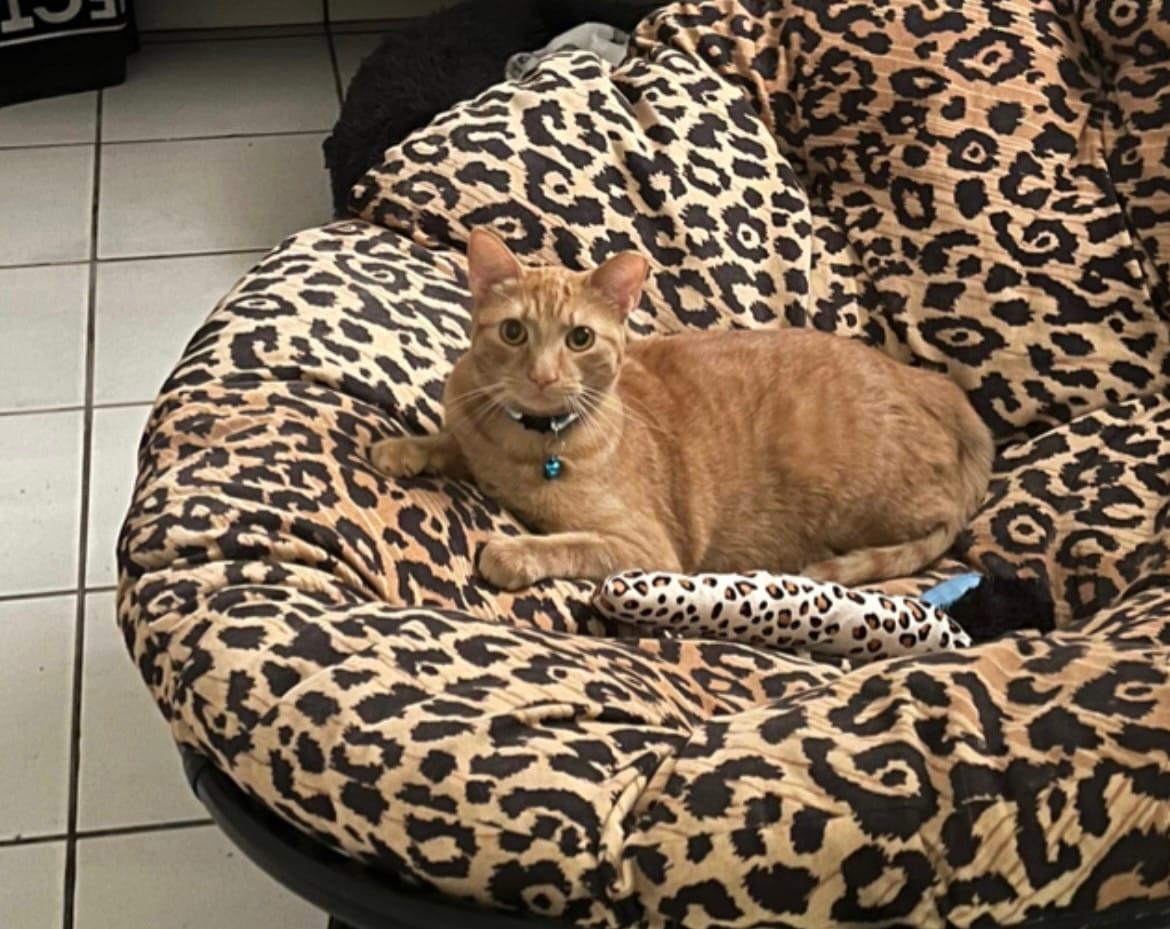 COURTESY POST: Autumn 1