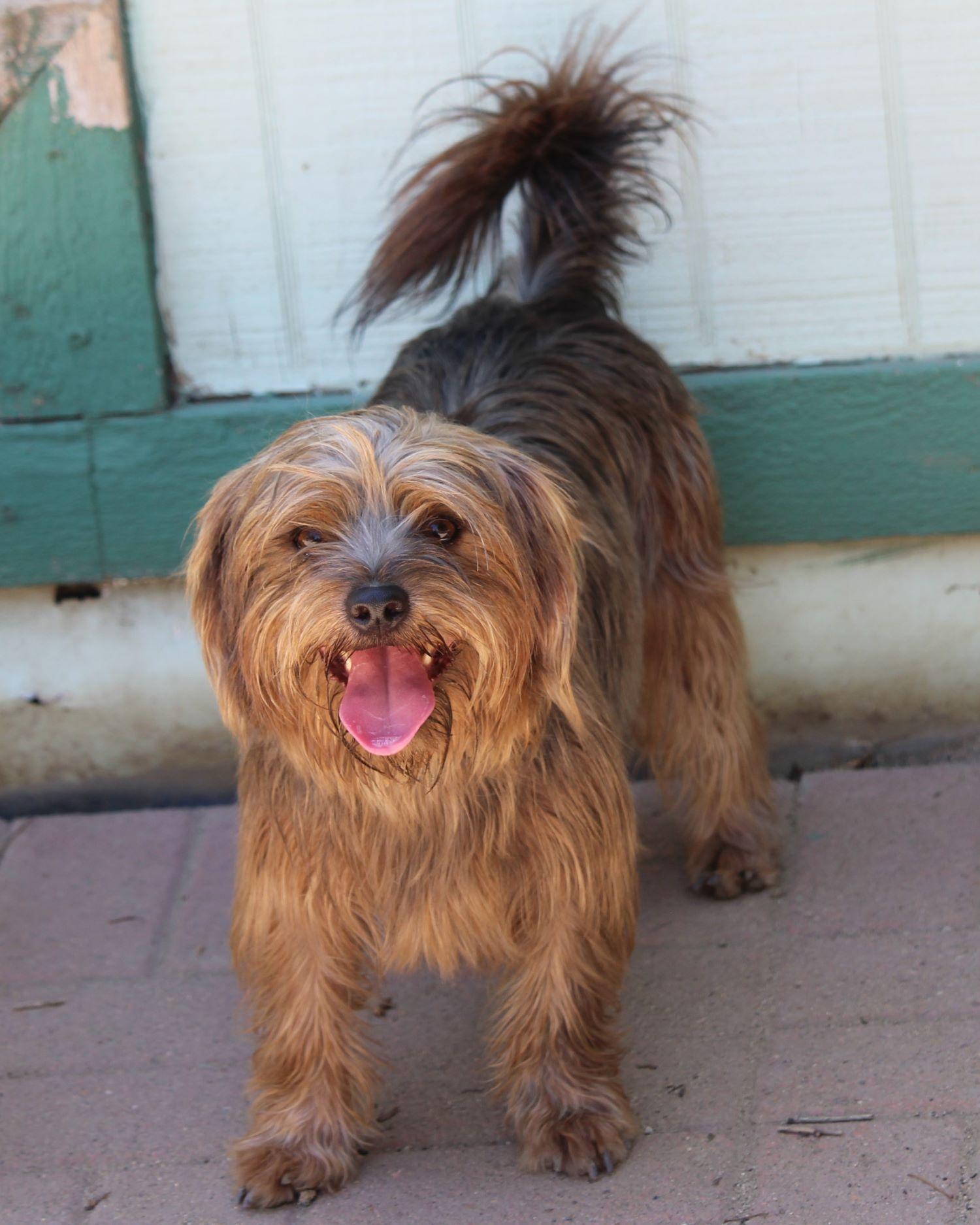 MILO photo 6