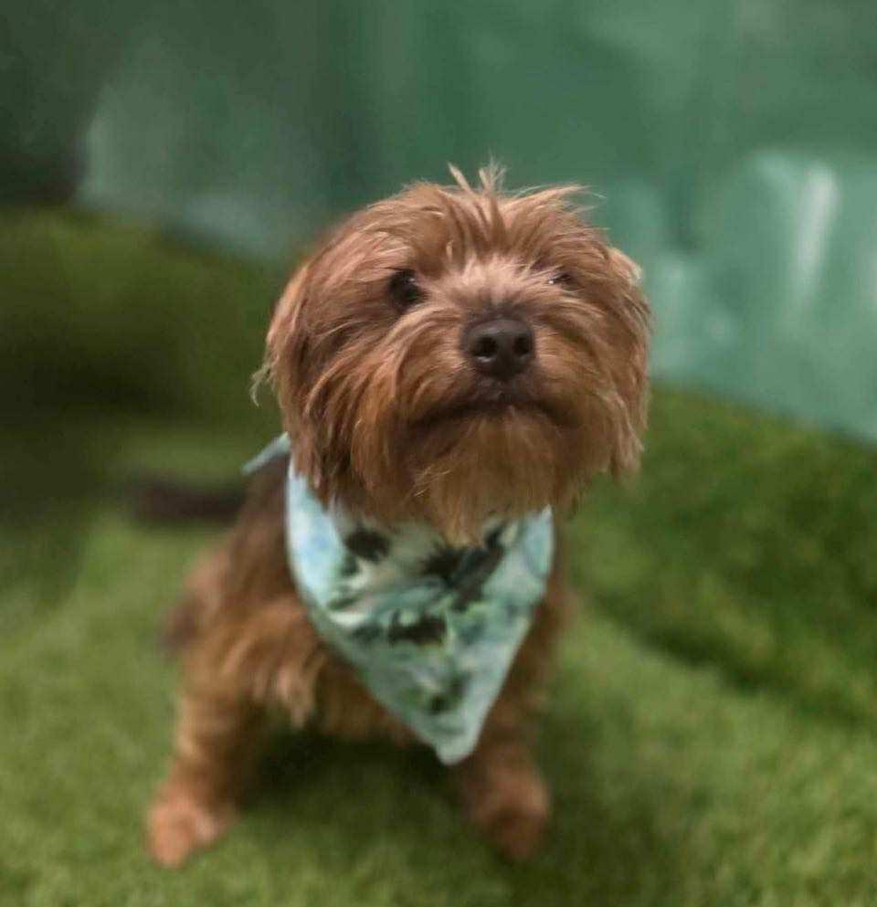 MILO photo 2