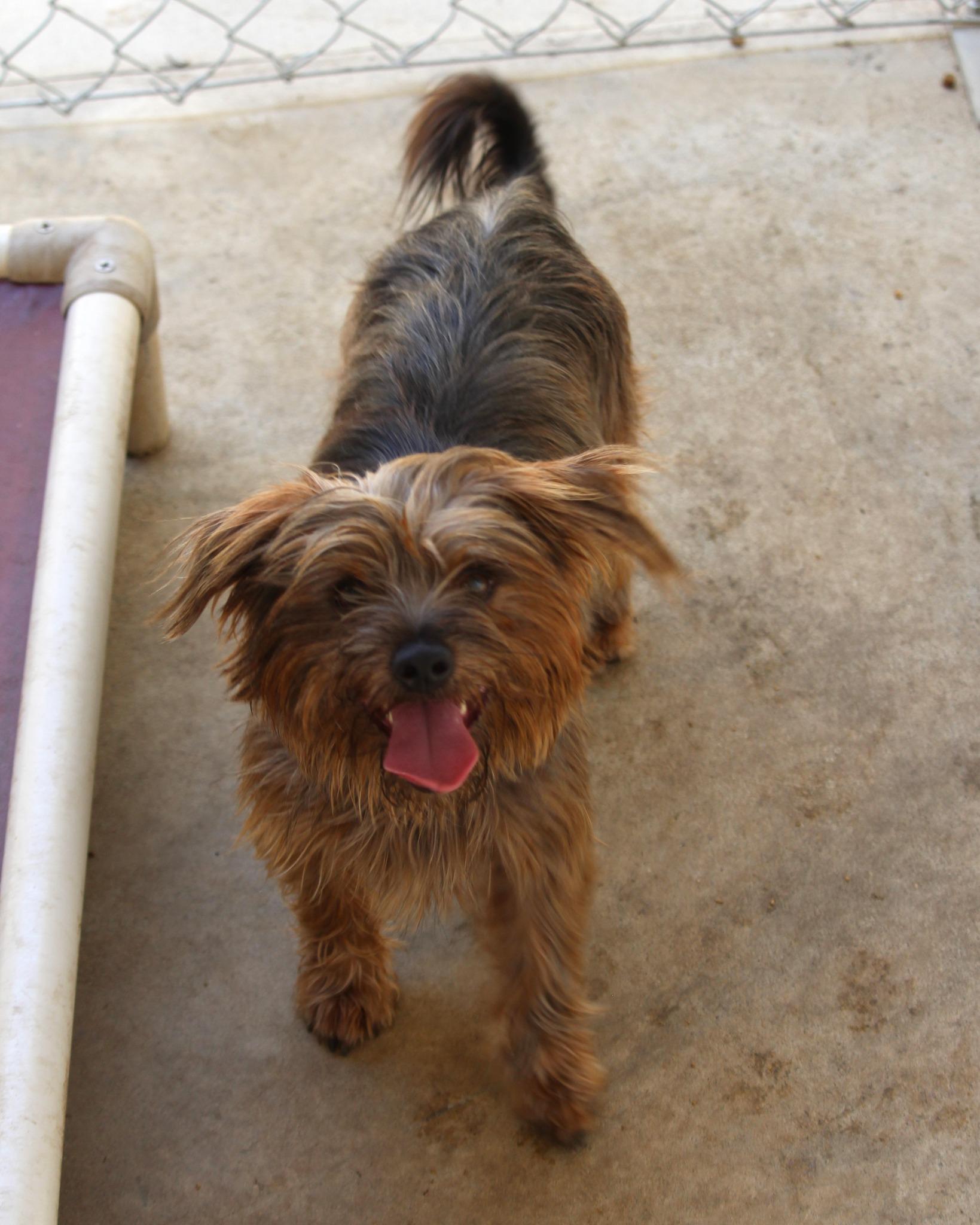 MILO photo 3