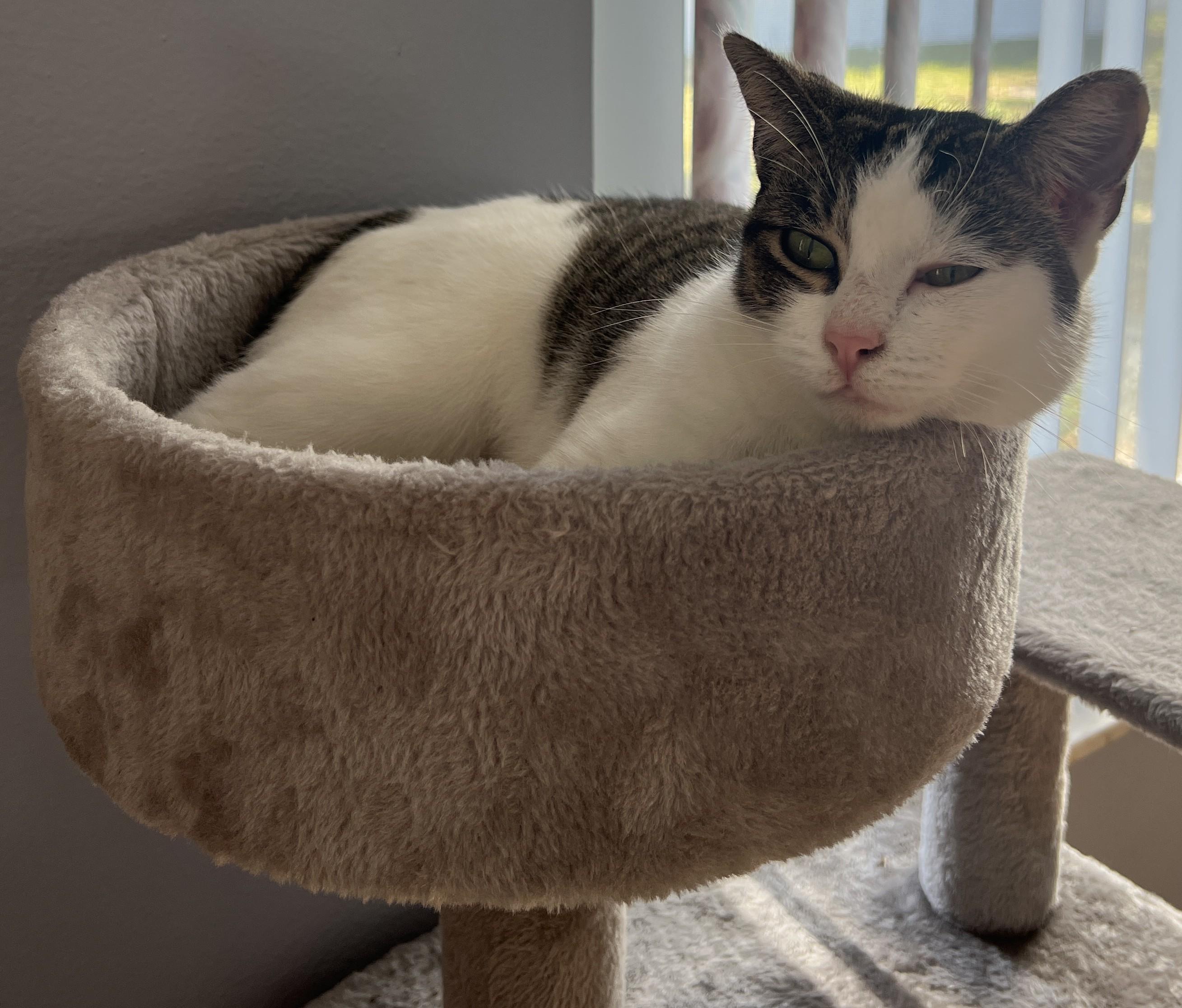 Rosie Posey — thumbnail 2