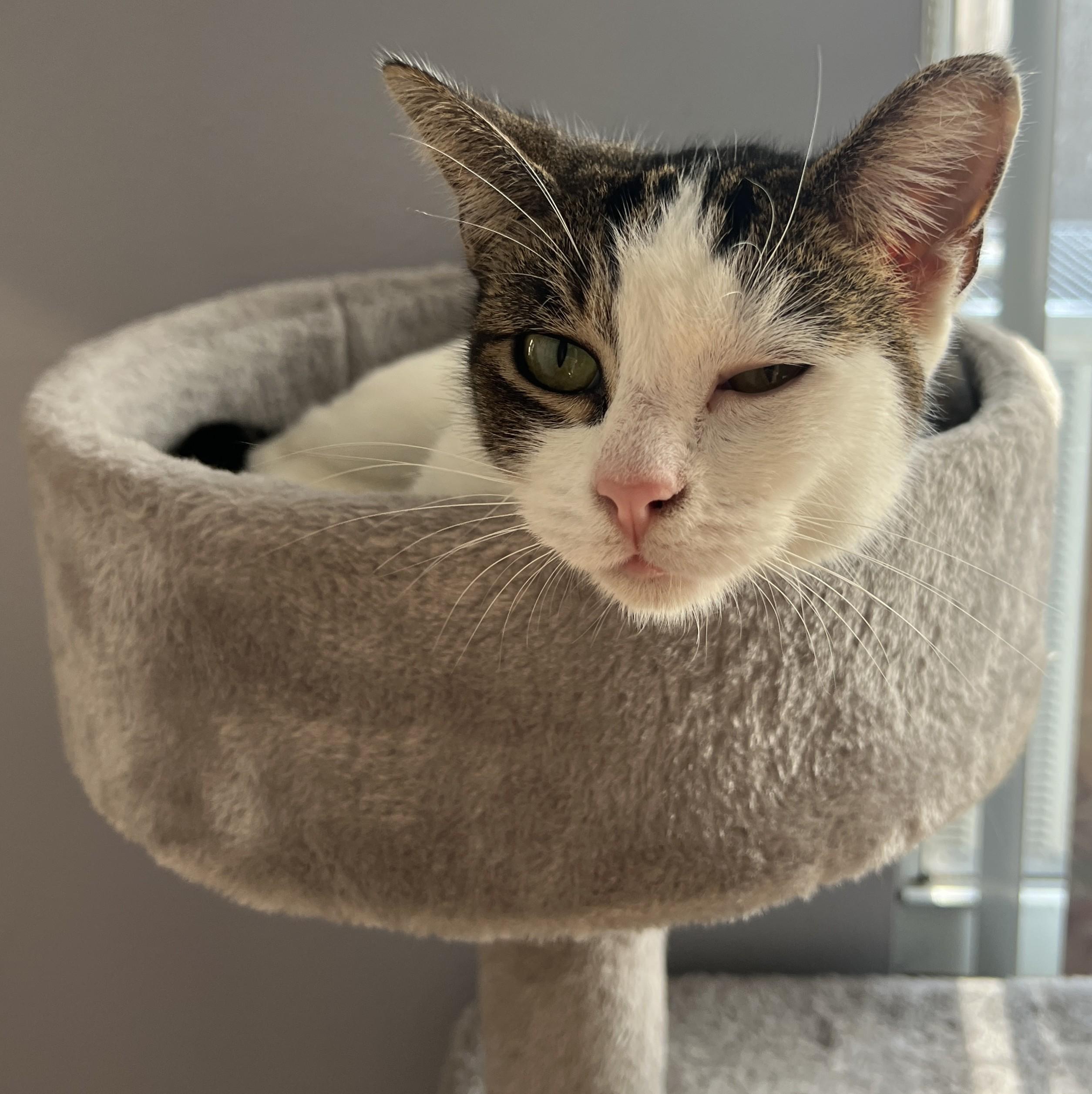 Rosie Posey — thumbnail 5