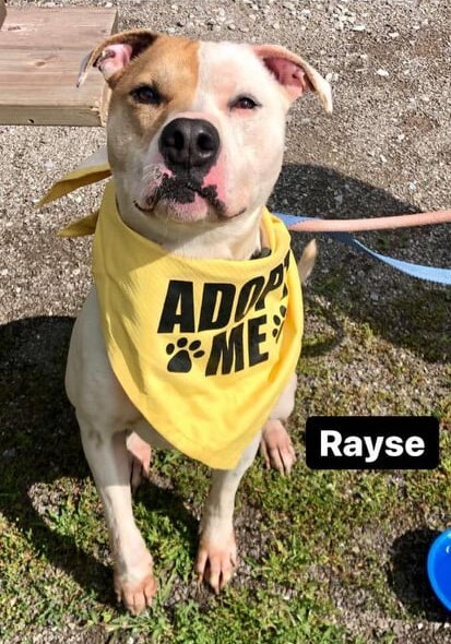 Rayse (20201209-01) photo 6