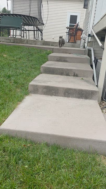 Enlarge Oscar - Home visit in process, a Adopted French Bulldog in Hartland, WI video 6/6