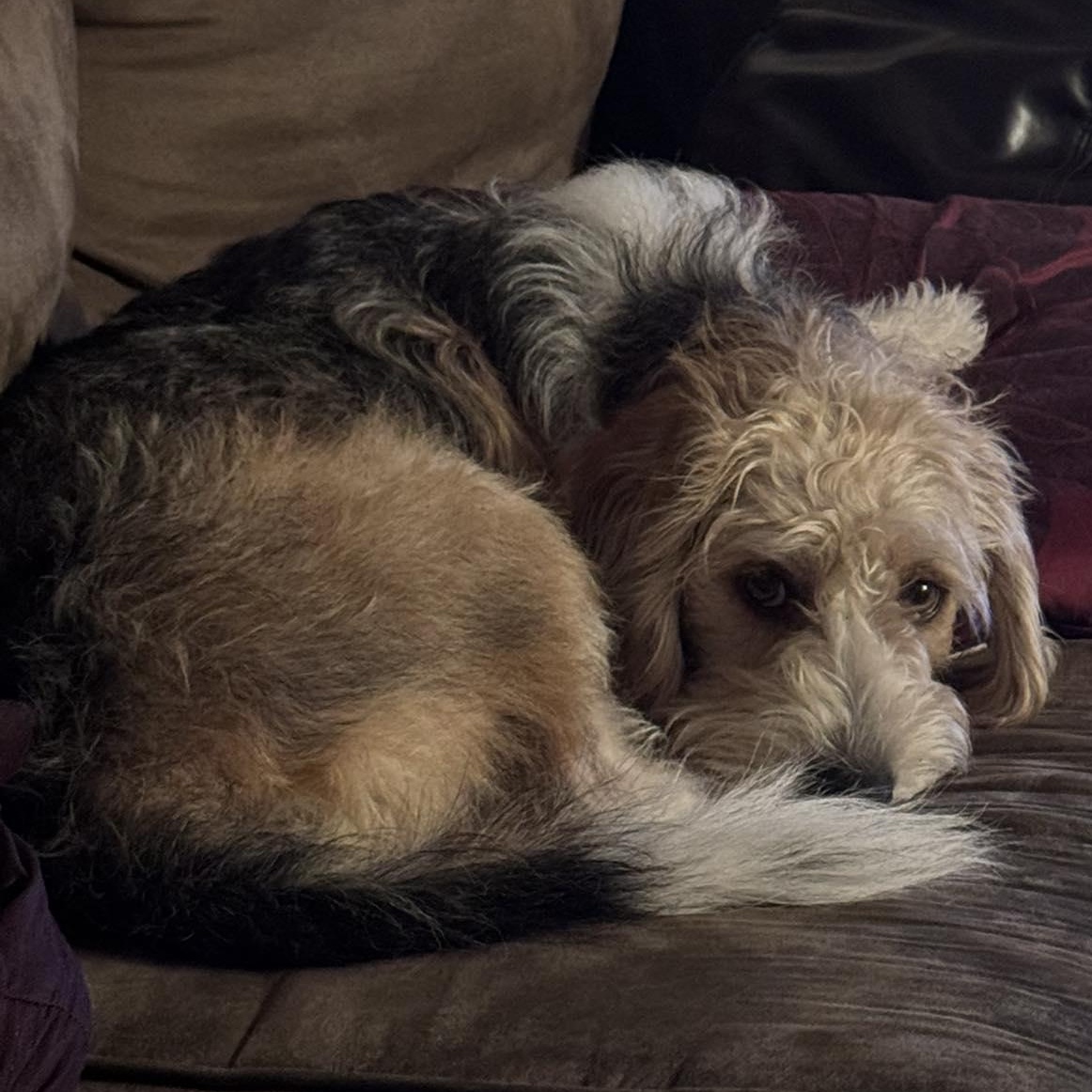 Jumpin' Jack Flash thumbnail 2