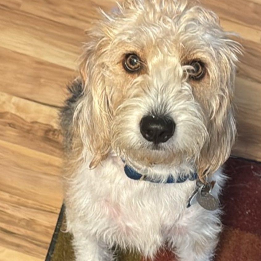 Jumpin' Jack Flash thumbnail 3