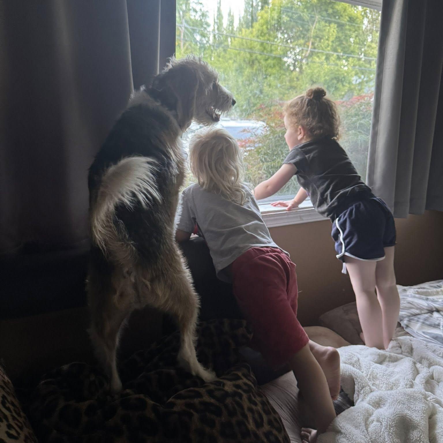 Jumpin' Jack Flash thumbnail 4