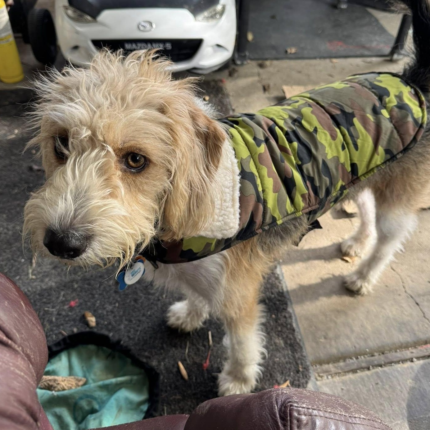 Jumpin' Jack Flash thumbnail 5