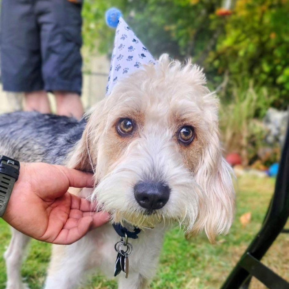 Jumpin' Jack Flash thumbnail 6