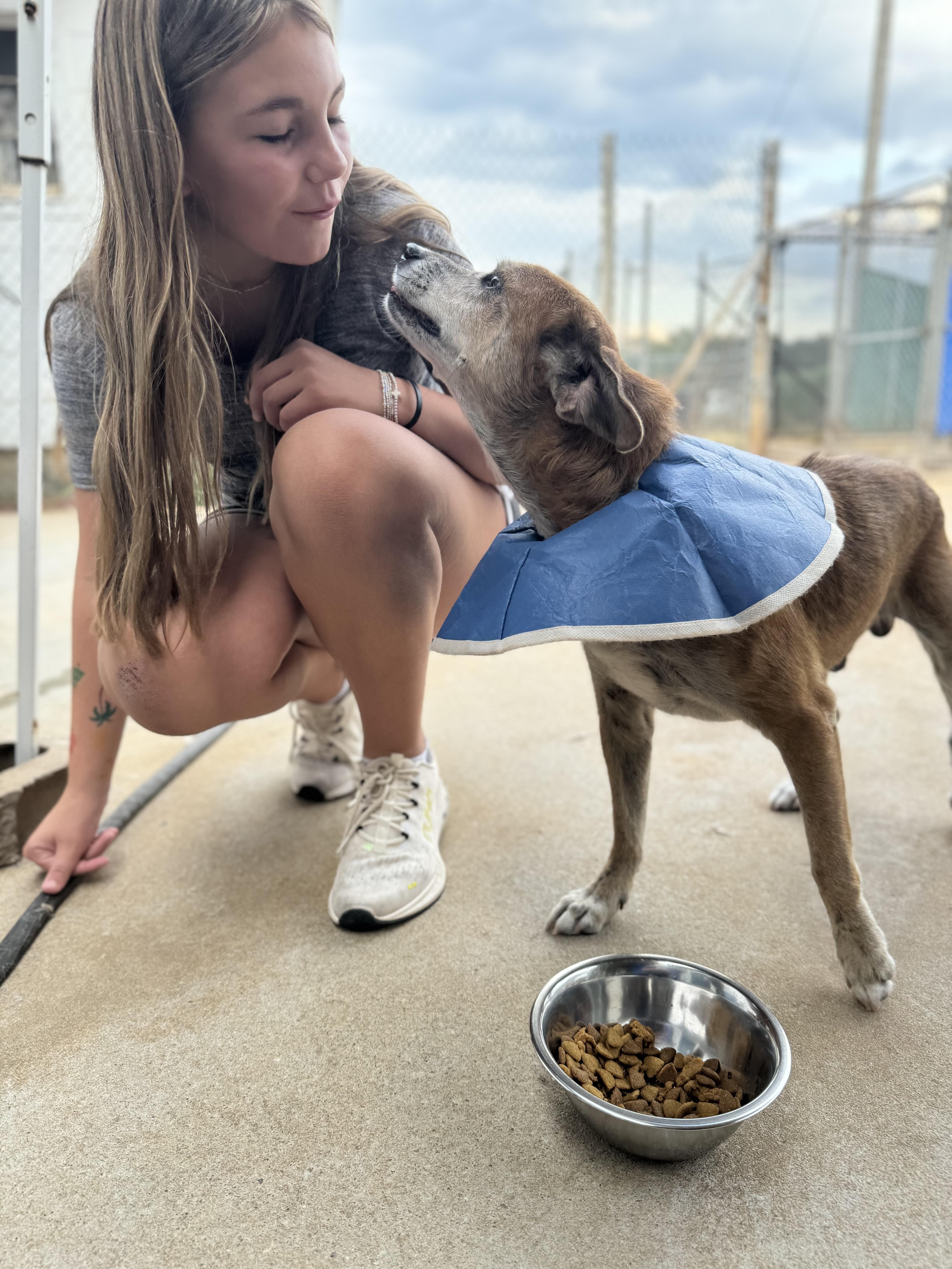 Donnie AKA THE DONALD