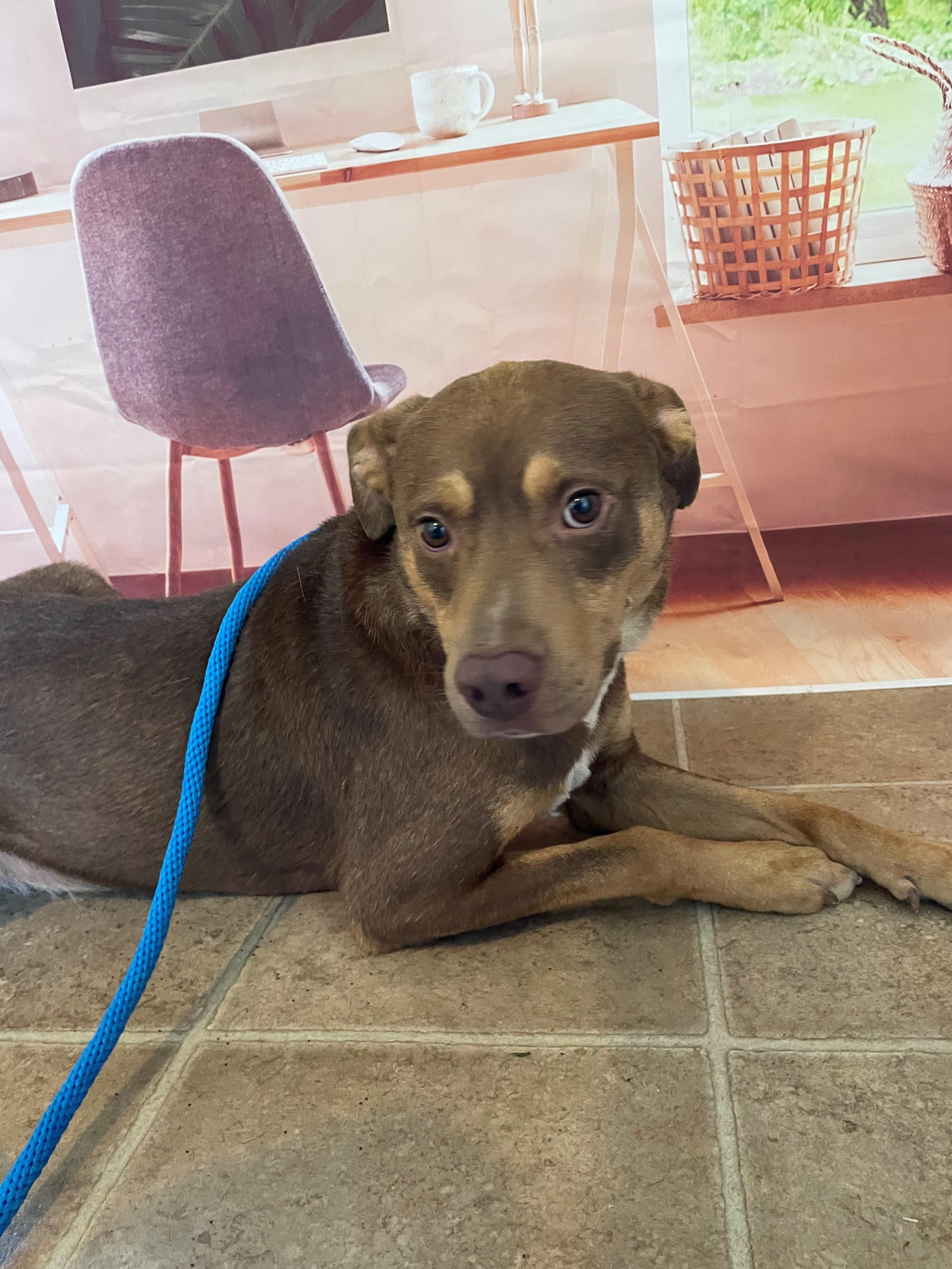 Running Vest | Hydration Running Pack