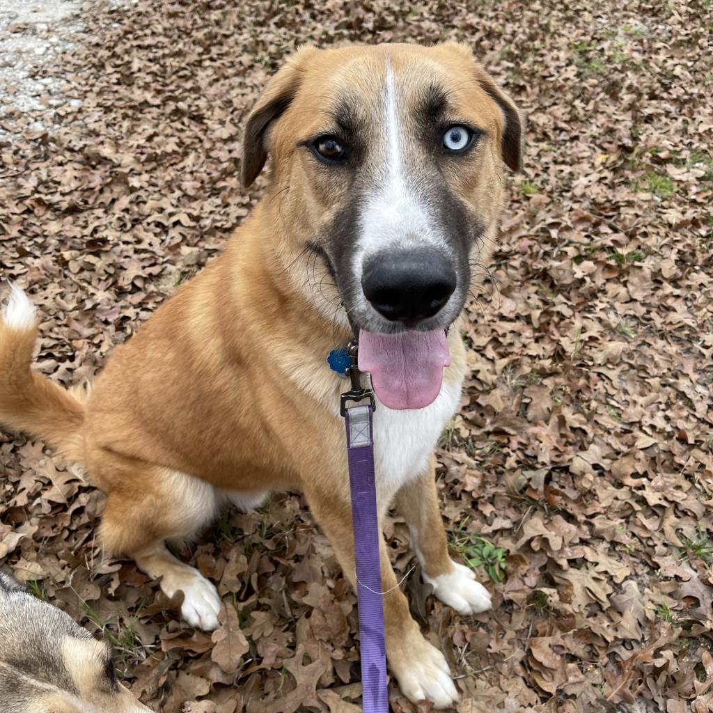 Einstein thumbnail 2