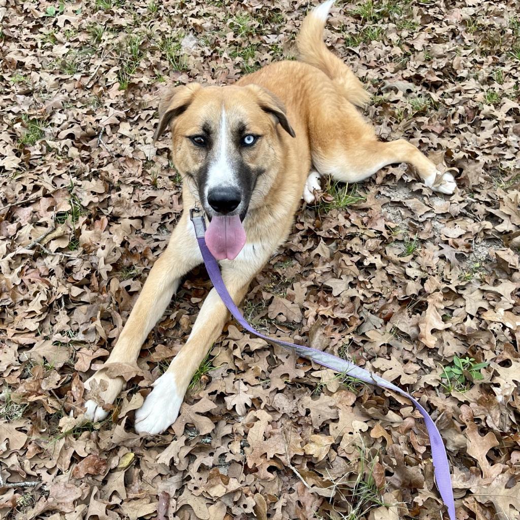 Einstein thumbnail 5