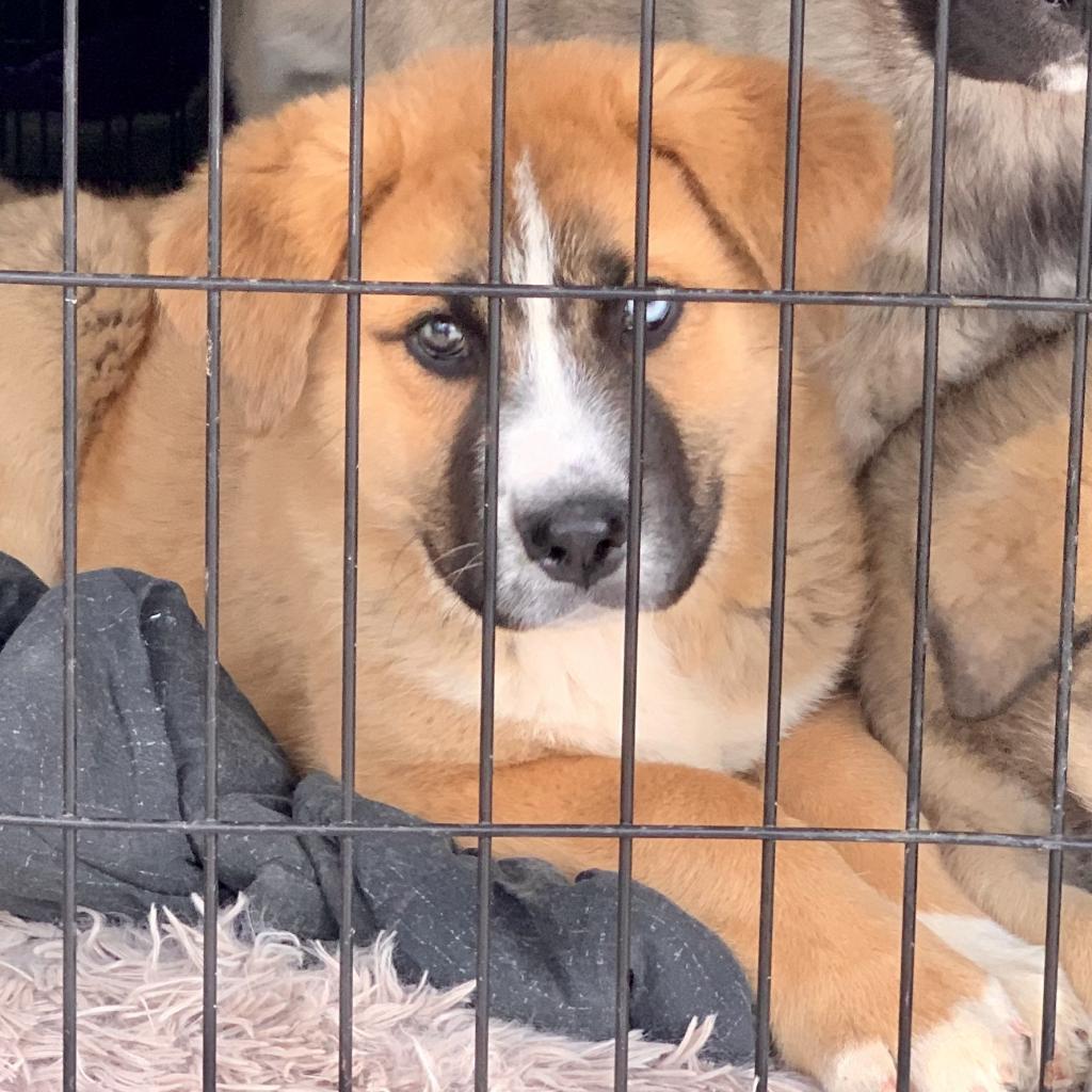 Einstein thumbnail 6