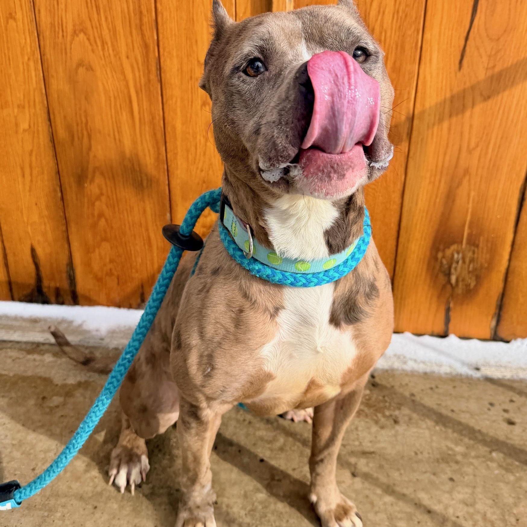 Moira — thumbnail 3