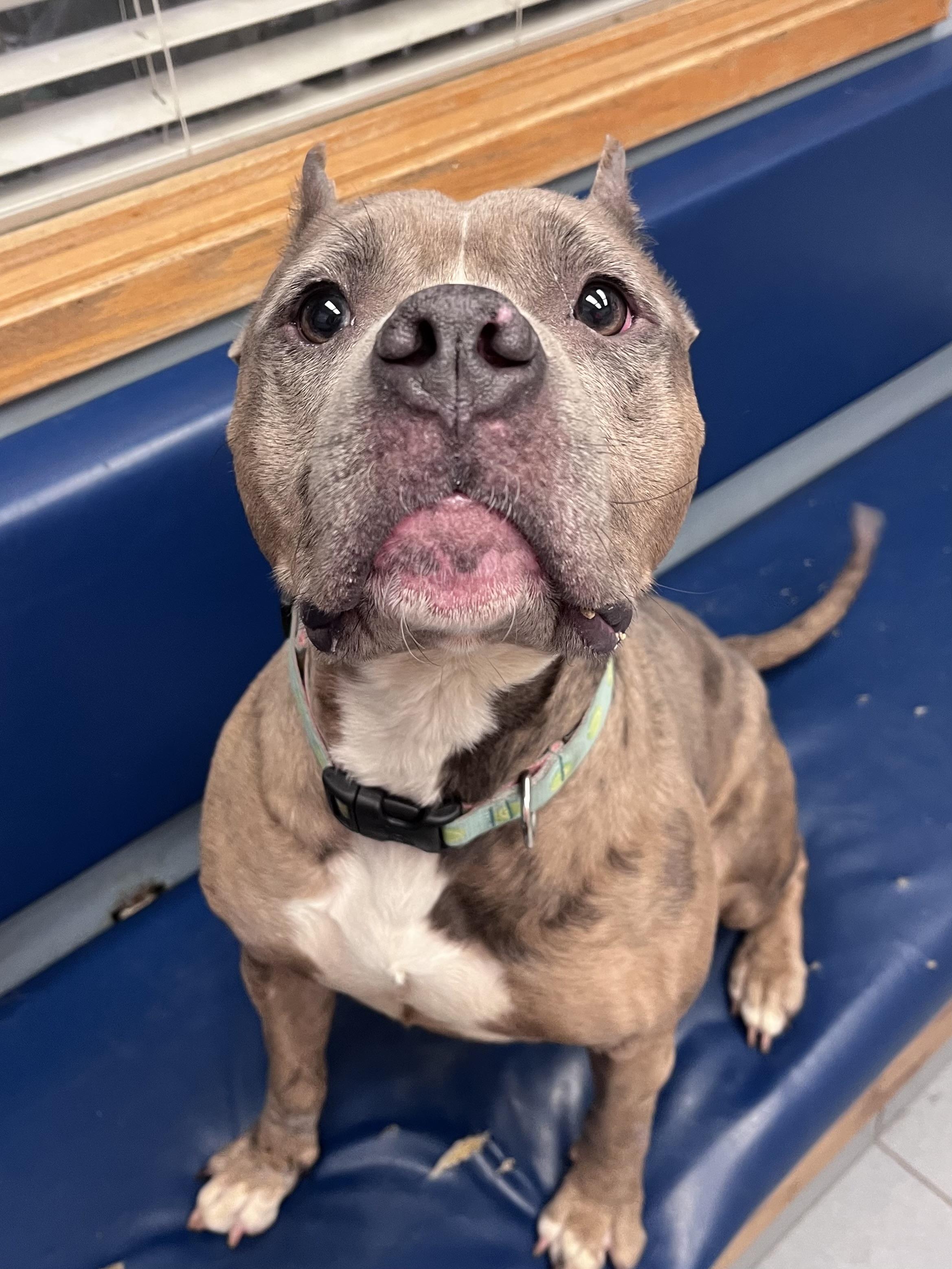 Moira — thumbnail 4