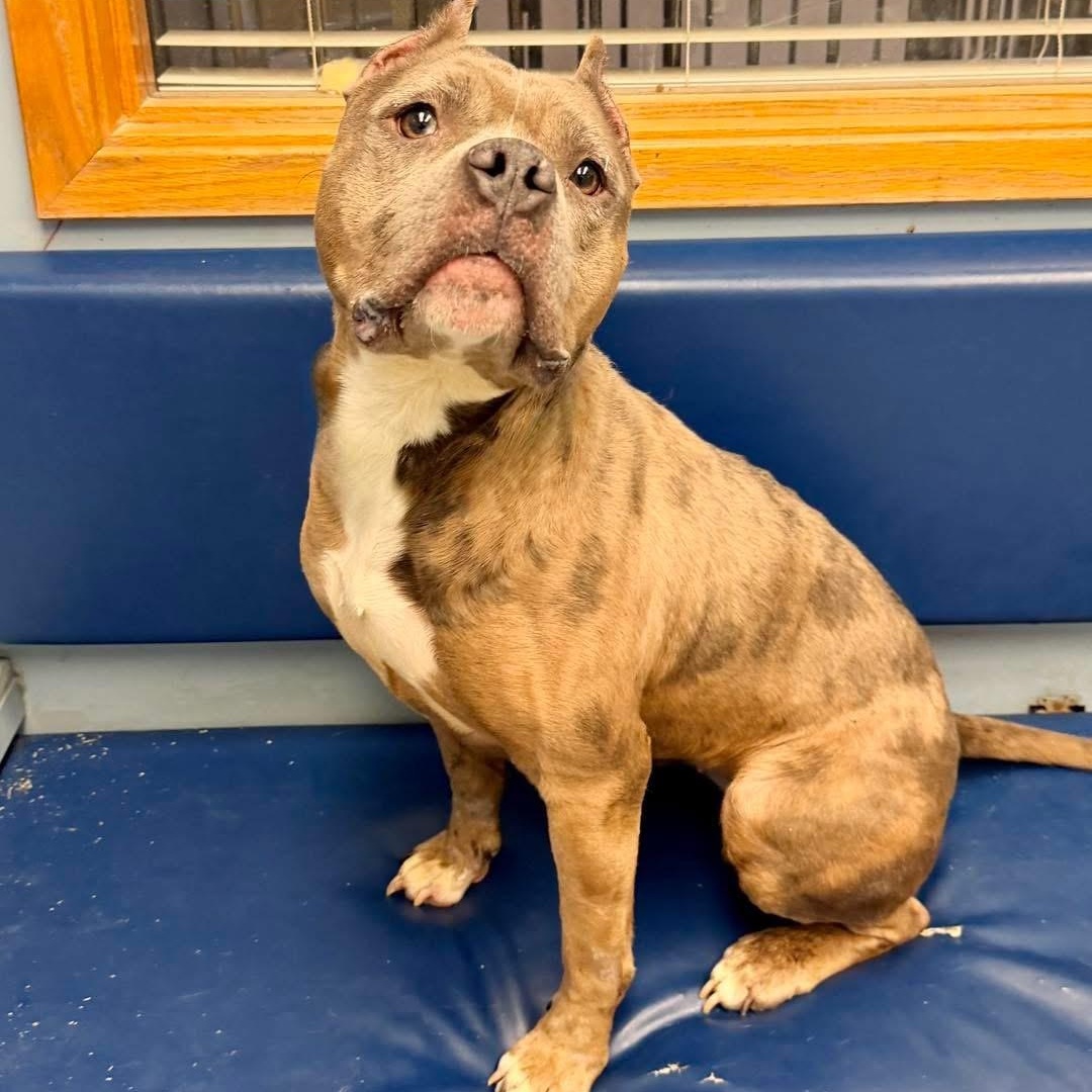 Moira — thumbnail 5