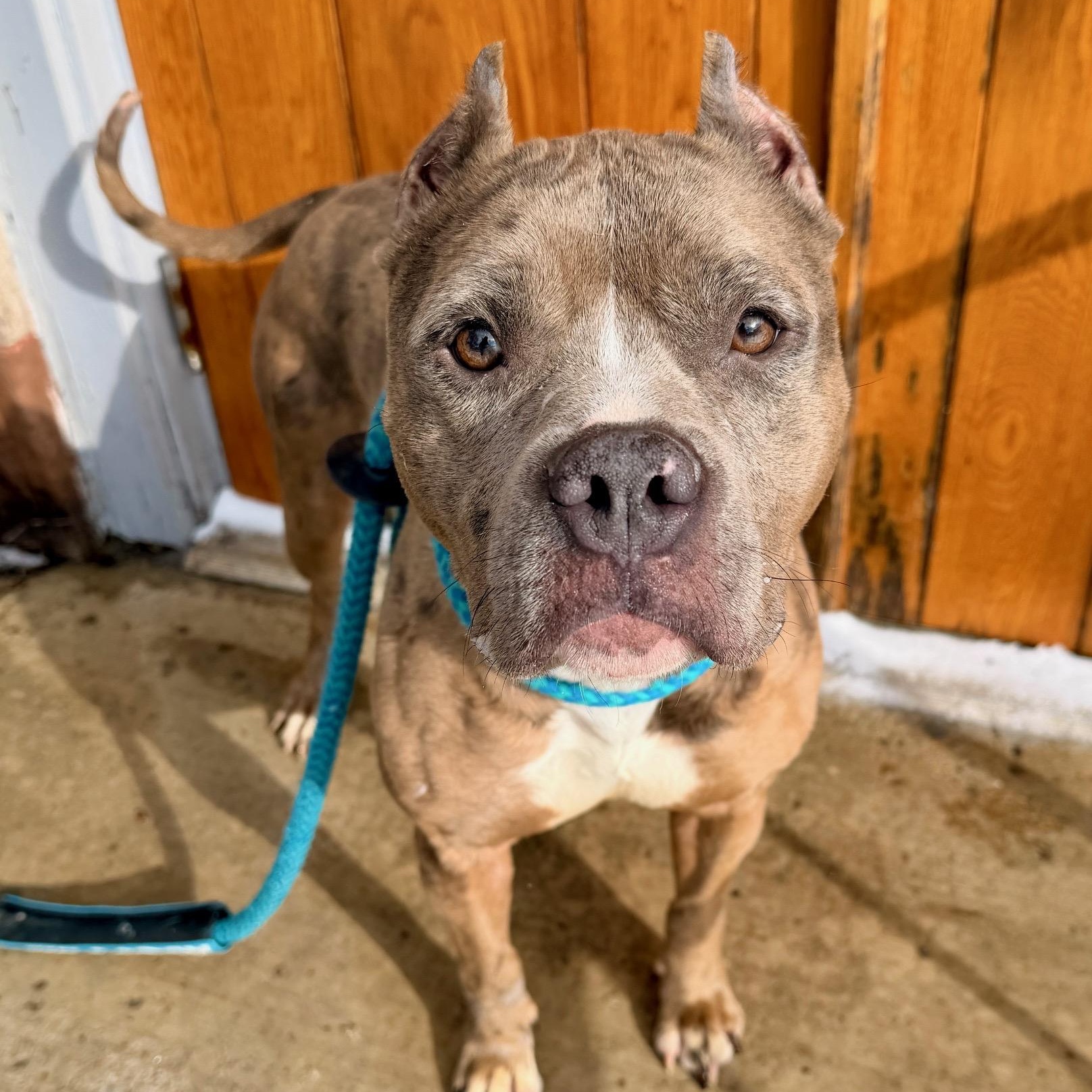 Moira — thumbnail 6