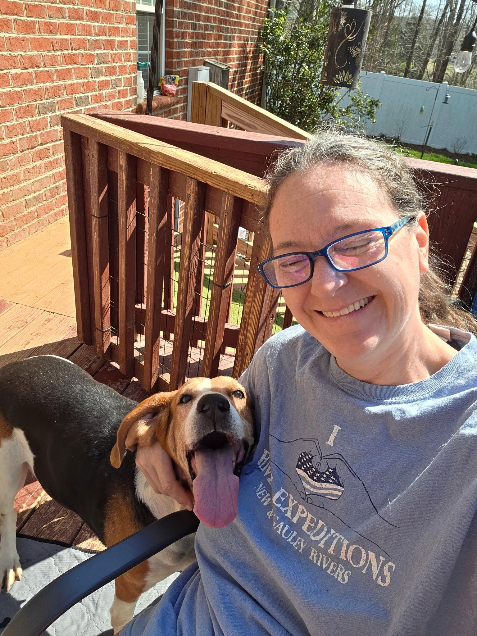 Enlarge Dutchees, a Adopted Hound in Thomasville, NC image 2/3
