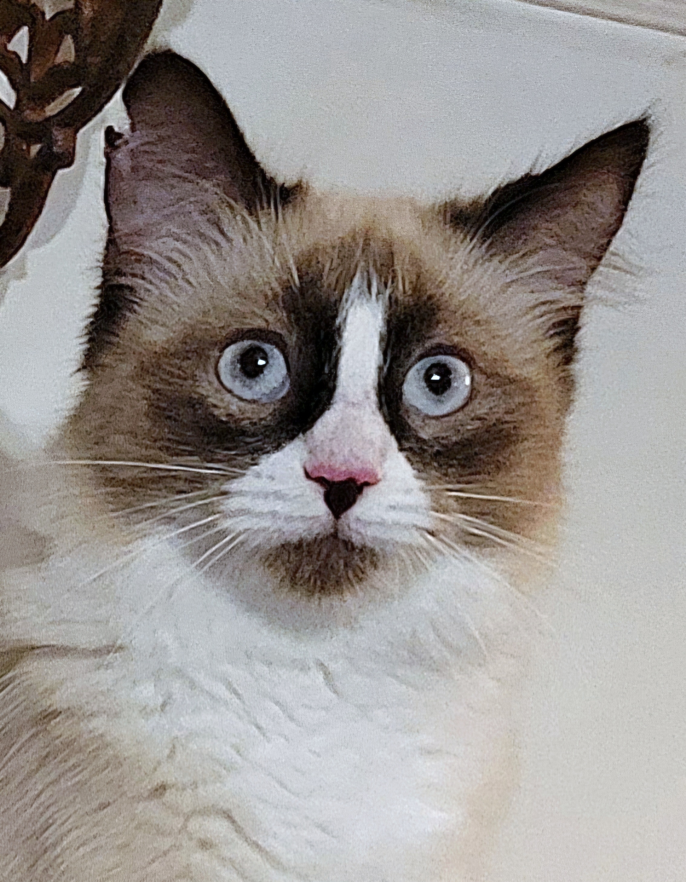 Esther