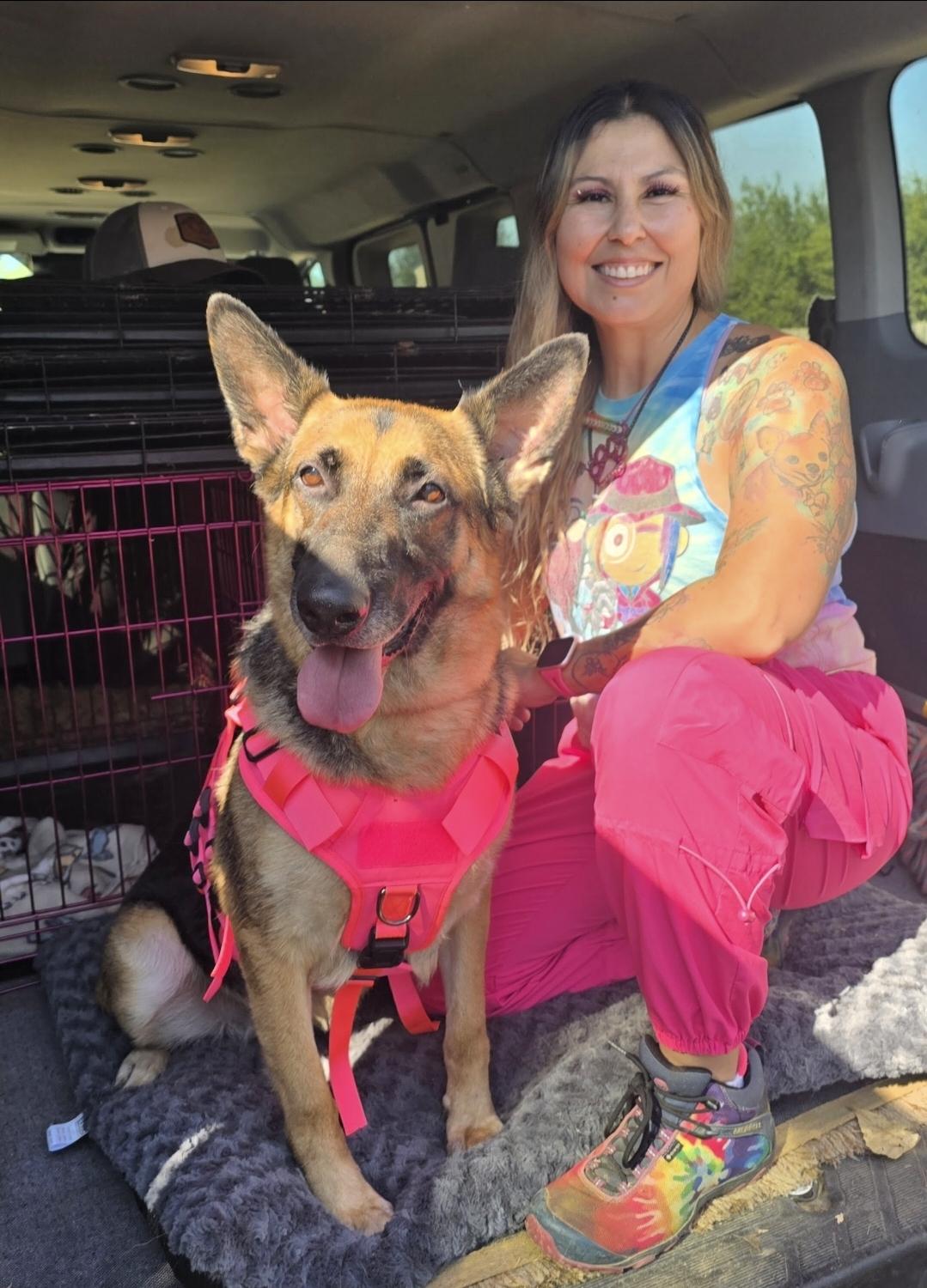 Enlarge Natalie, a Adoptable German Shepherd Dog in Selma, CA image 6/6