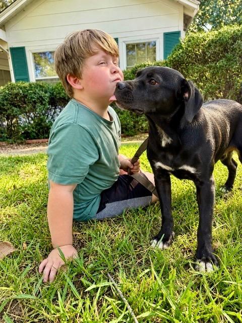 Enlarge Bluebell, a Adoptable mixed breed in Princeton, MA image 2/3