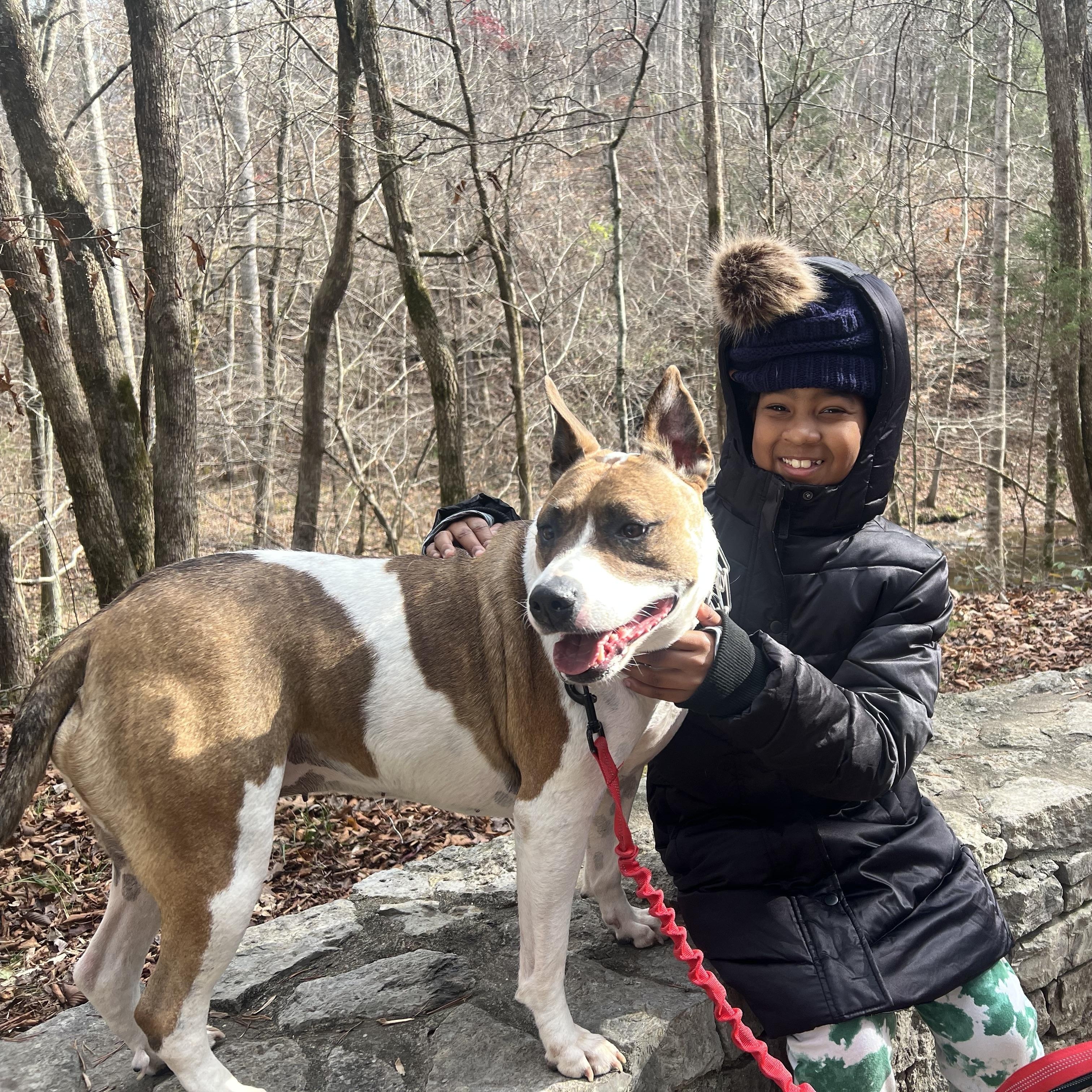 Enlarge Cocoa, a ADOPTABLE mixed breed in Nashville, TN image 2/5