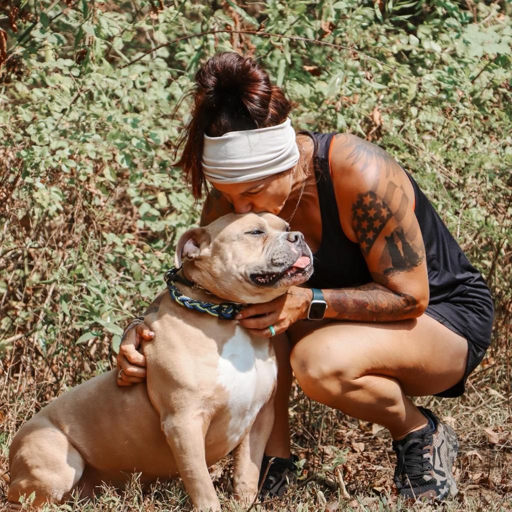 Enlarge Draco, a Adoptable Pit Bull Terrier in Duck River, TN image 3/3