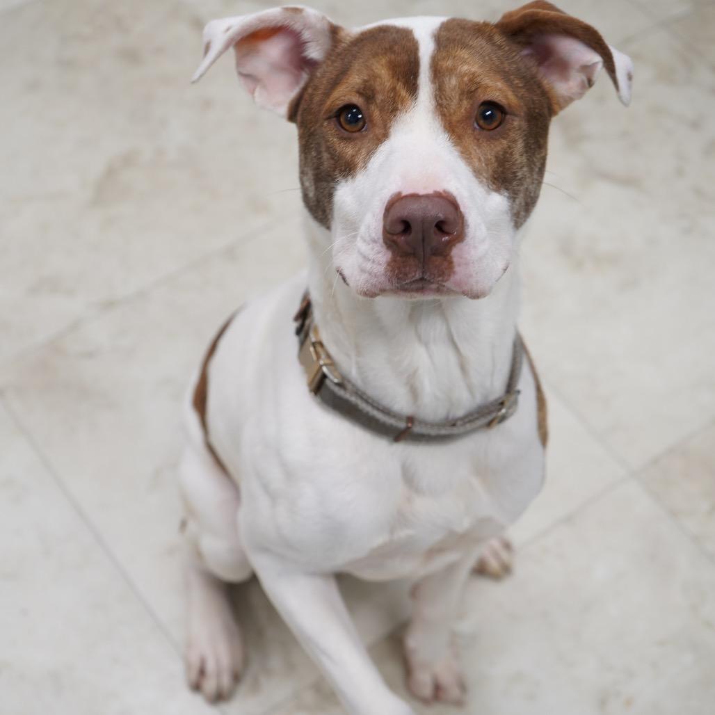 Zoey (FKA Tifa) — thumbnail 2