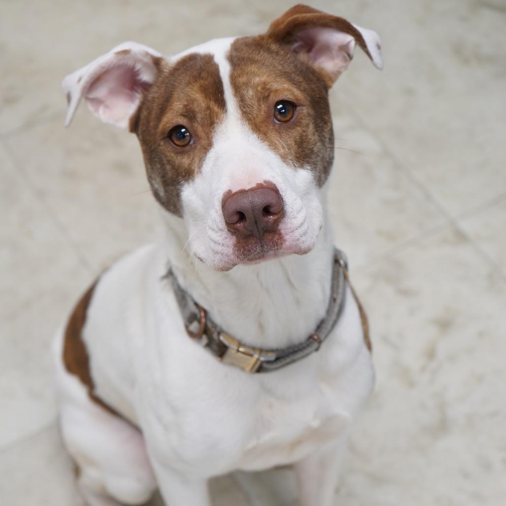 Zoey (FKA Tifa) — thumbnail 3