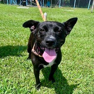 Daisy Aka Teeny thumbnail 5