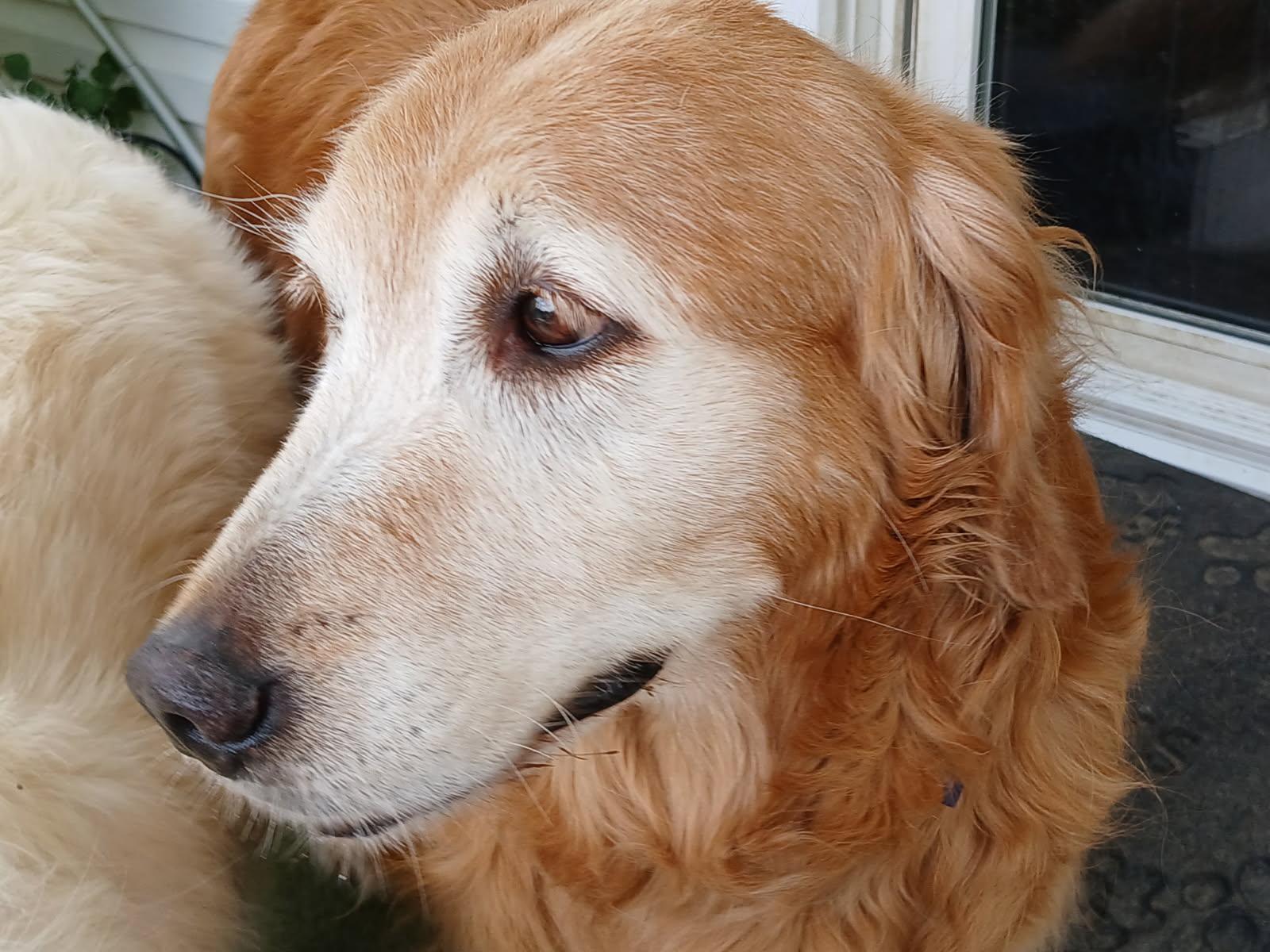 Emmy Lou