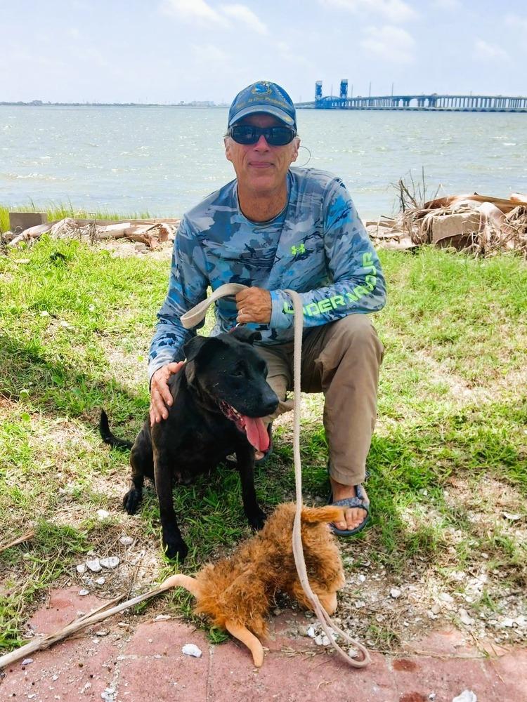 Enlarge Starla, a Adoptable mixed breed in San Leon, TX image 3/6