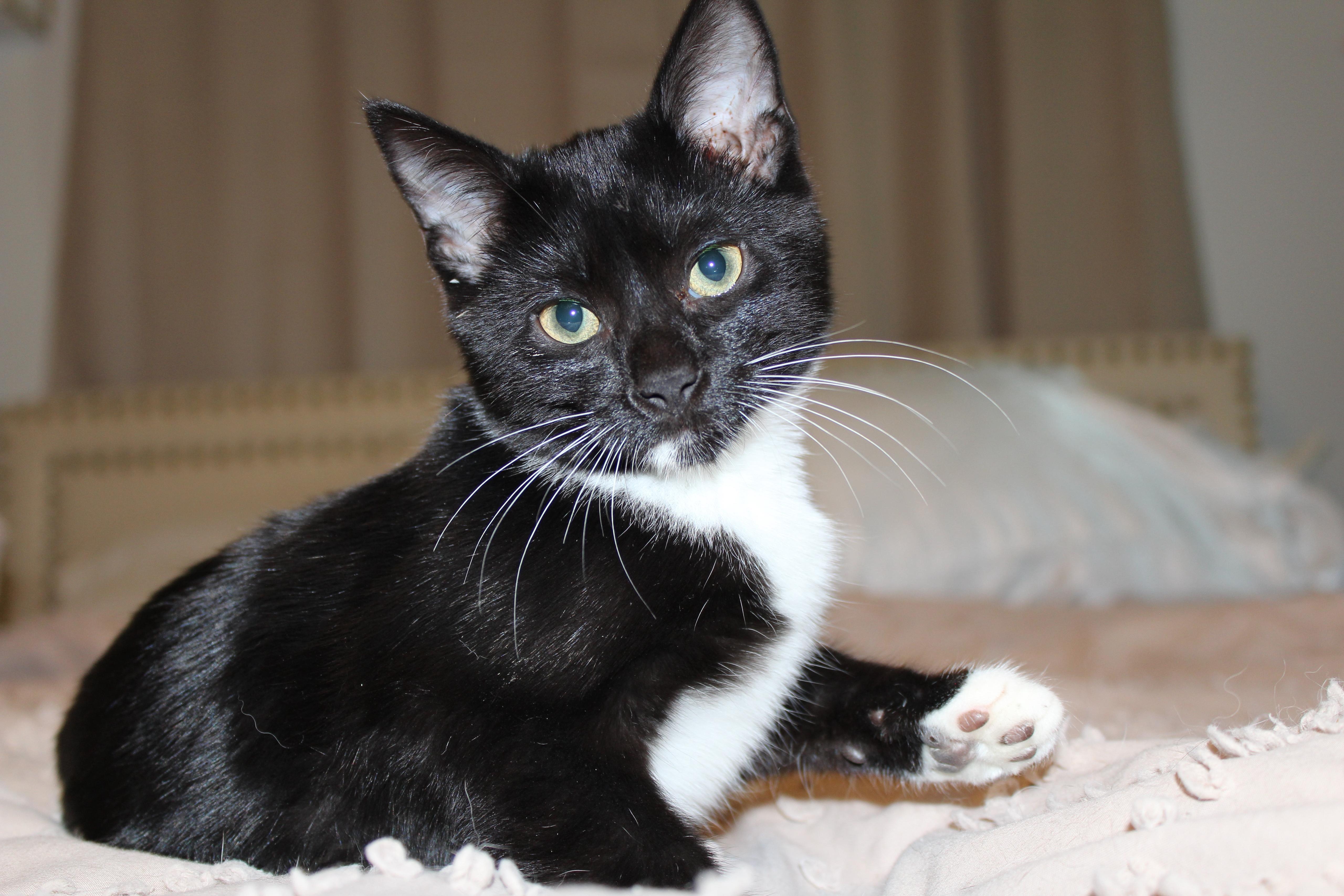 Ghost — thumbnail 2