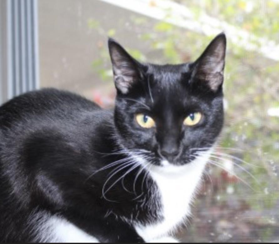 Ghost — thumbnail 4