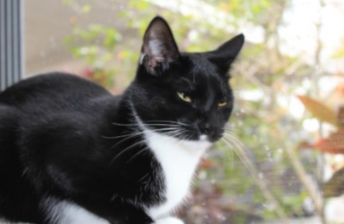 Ghost — thumbnail 6