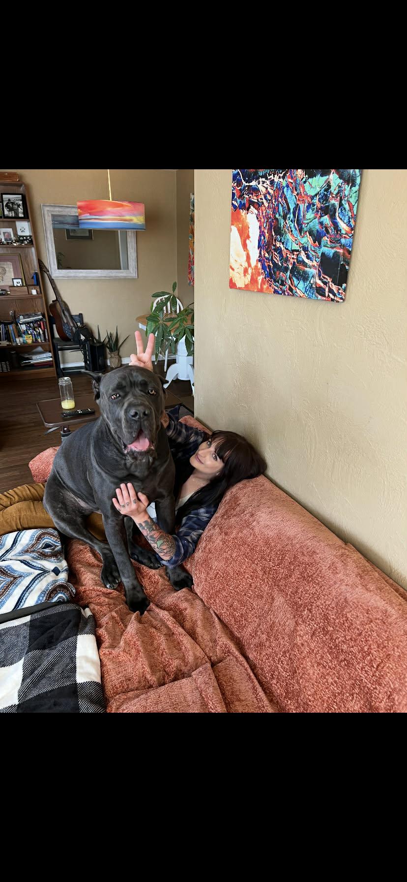 Enlarge Hays, a ADOPTABLE Cane Corso in Nipomo, CA image 3/5