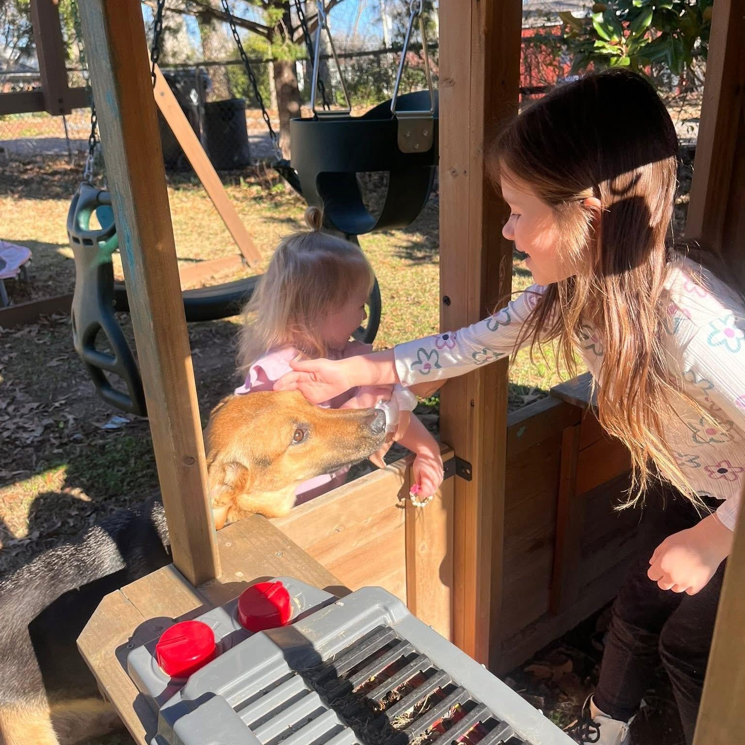 Shelby — thumbnail 2