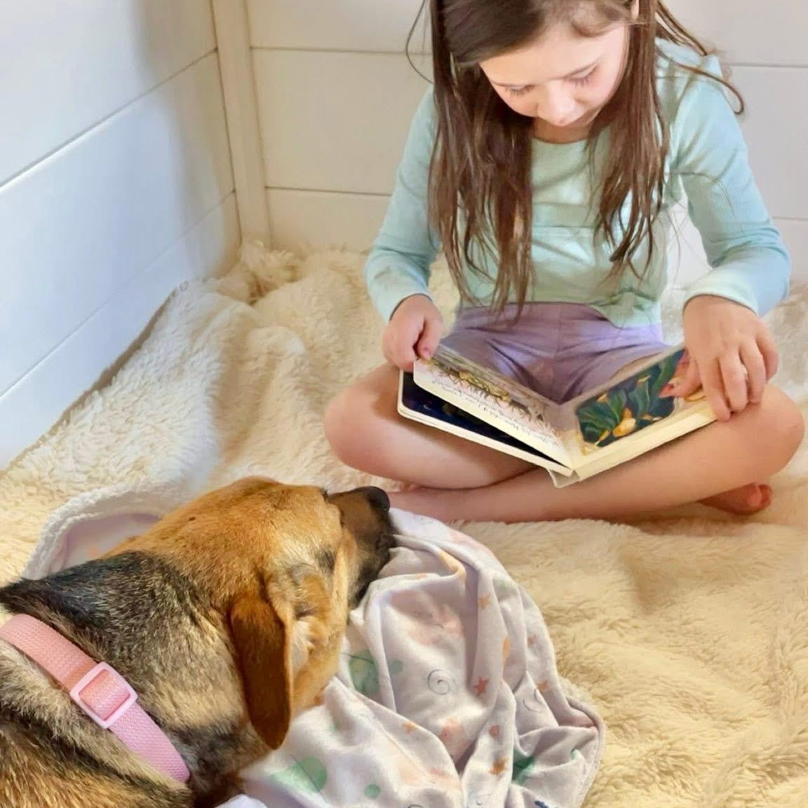 Shelby — thumbnail 5