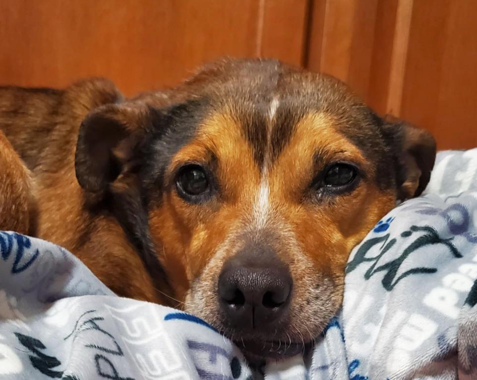 Maggie