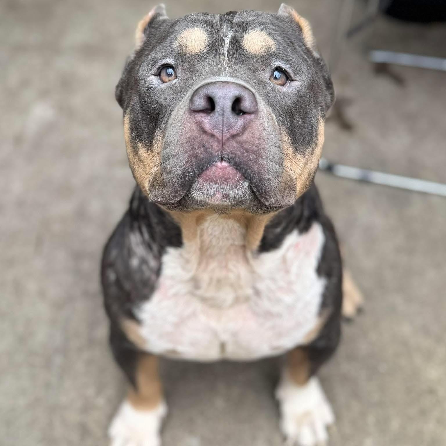 Derek