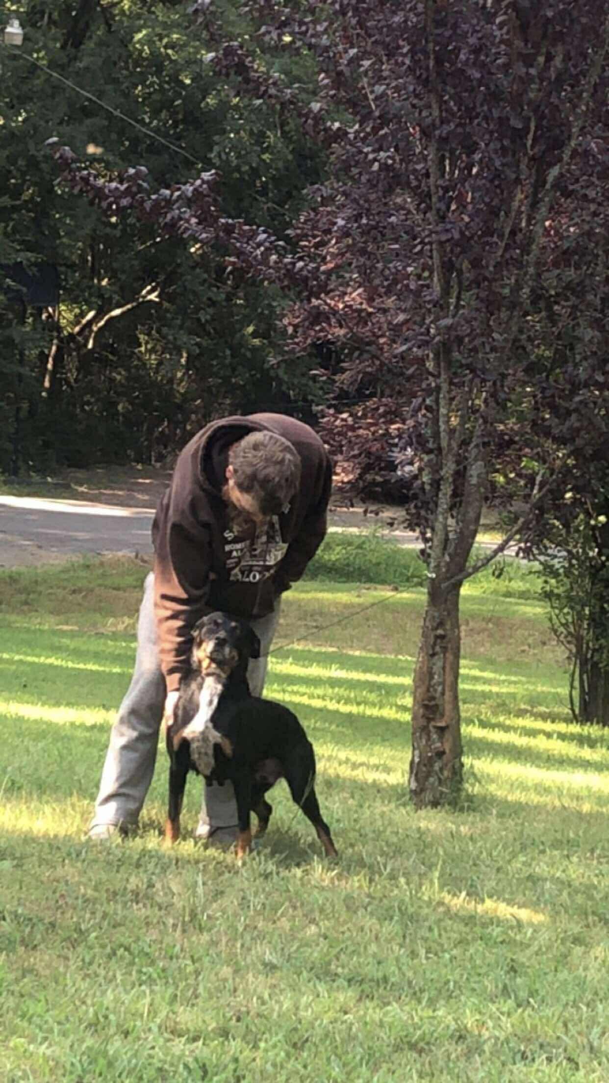 Madaline, a Adoptable mixed breed in Dover, AR image 2/4