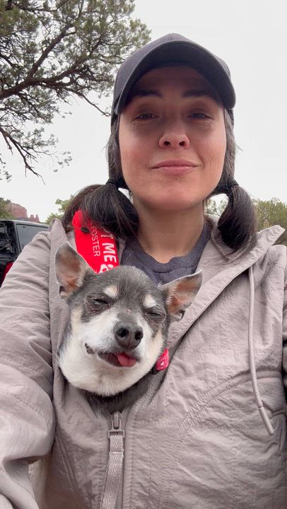 Enlarge Buster, an adopted Chihuahua in Clarkdale, AZ video 2/6