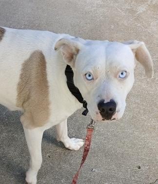 Lil Petunia thumbnail 2