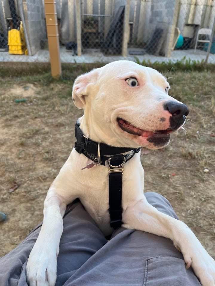 Lil Petunia thumbnail 6