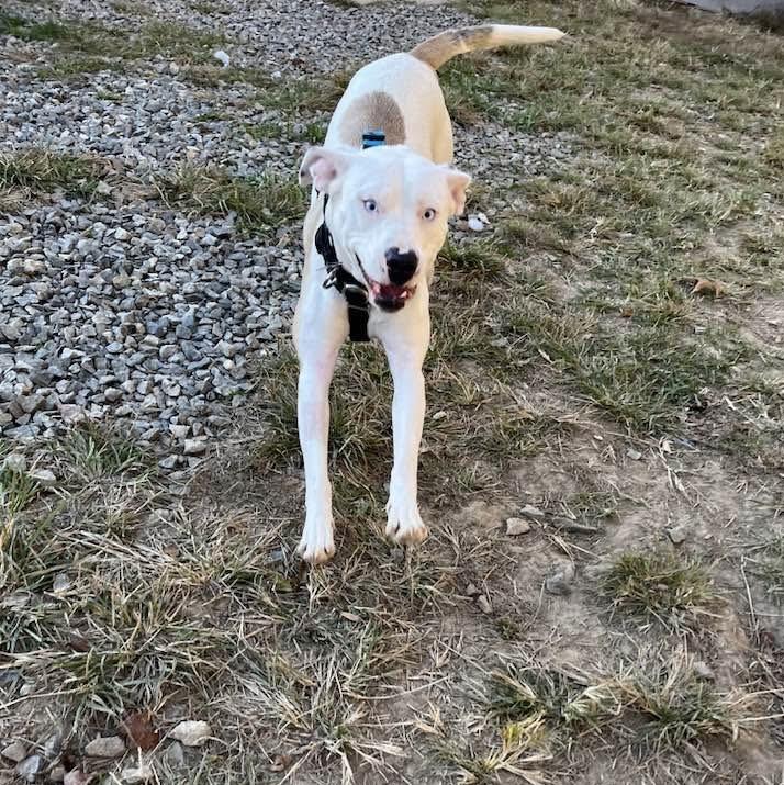 Lil Petunia thumbnail 7