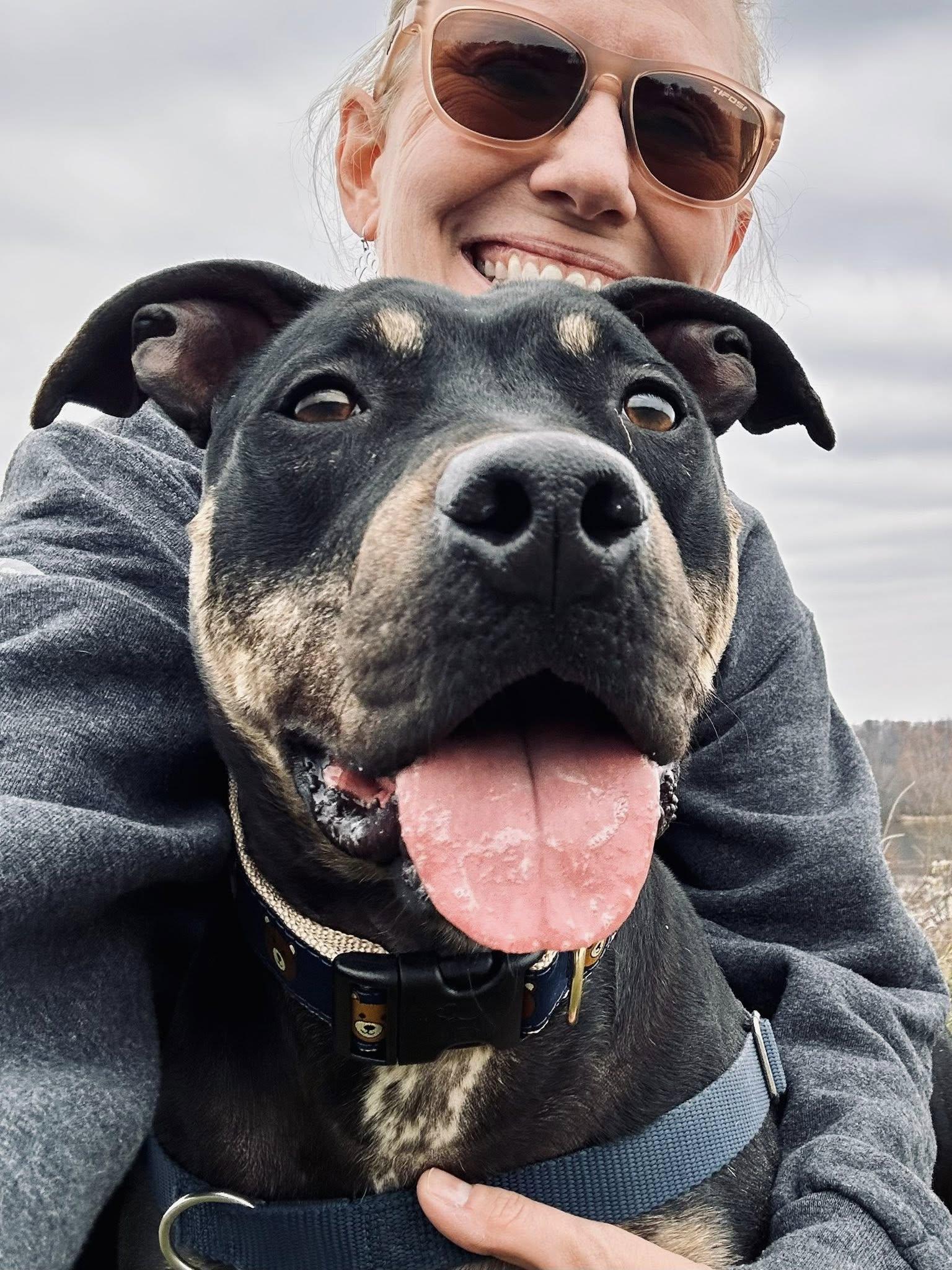 Bear, a Adoptable Pit Bull Terrier in Philadelphia, PA image 2/5