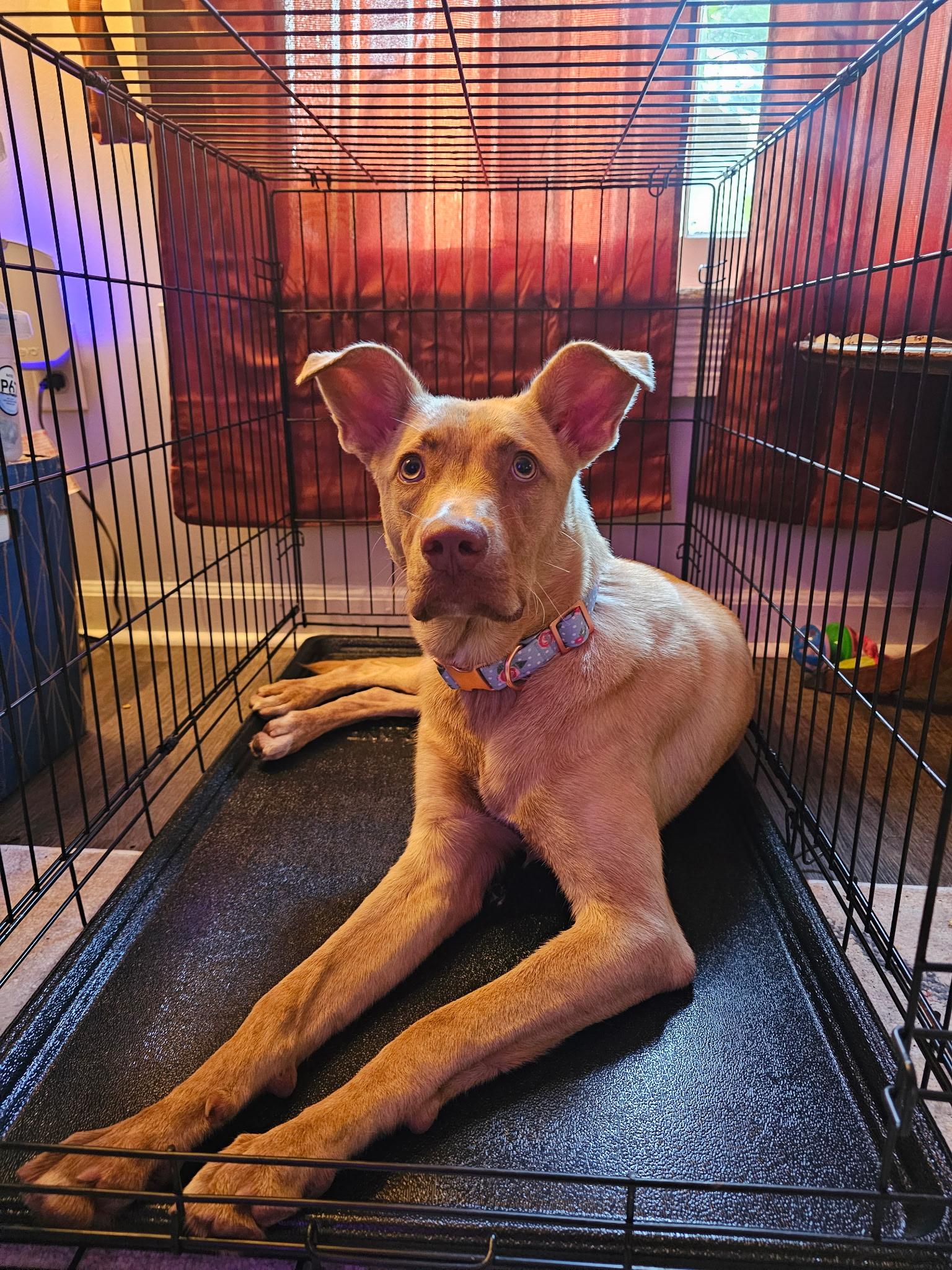 Luca  Urgent!! thumbnail 6